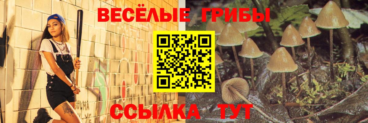Псилоцибиновые грибы мицелий  Псилоцибиновые грибы ЛСД  Вход с VPN  Ирбит 